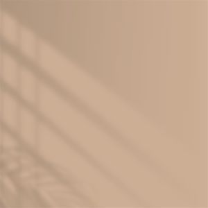 Polisan Elegans Yarı Mat İç Cephe Boyası 15 Litre Elegan Mocha 4032 Cİ-6265