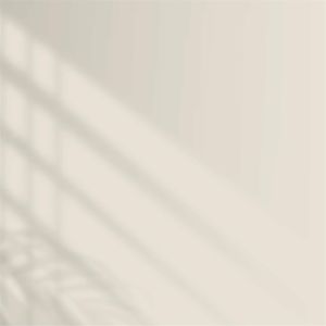 Polisan Elegans Extra Yarı Mat İç Cephe Boyası 2,5 Litre Yalın Beyaz 1570 Cİ-6381