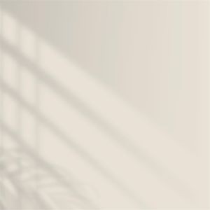 Polisan Elegans Extra Yarı Mat İç Cephe Boyası 7,5 Litre Sade Bej 5737 Cİ-6271