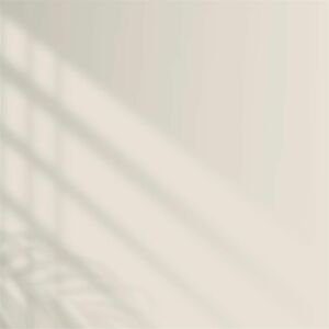 Polisan Elegans Extra Yarı Mat İç Cephe Boyası 12,5 Litre Sade Bej 5737 Cİ-6271