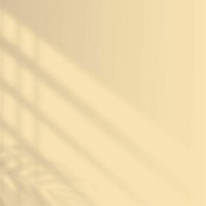 Polisan Elegans Extra Yarı Mat İç Cephe Boyası 15 Litre Şampanya 229 Cİ-7182