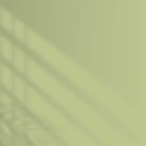 Polisan Elegans Extra Yarı Mat İç Cephe Boyası 15 Litre Kadife Yeşil 4348 Cİ-7335