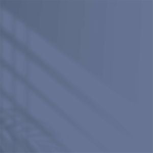 Polisan Elegans Extra Yarı Mat İç Cephe Boyası 12,5 Litre Sevinç Cİ-3070